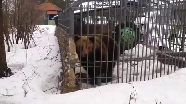 Превью