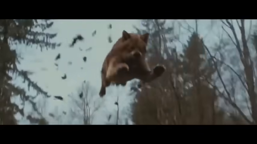 Превью