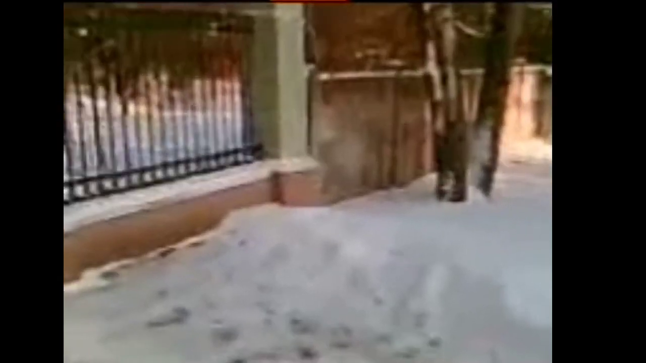 Превью