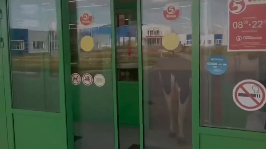 Превью