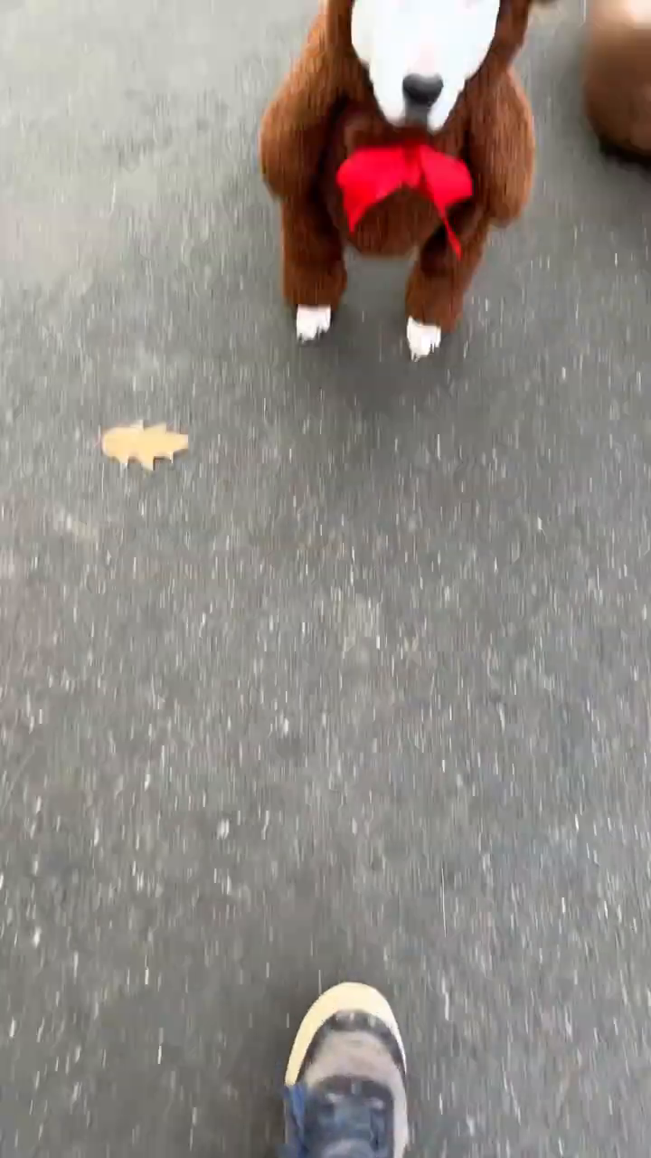 Превью